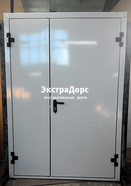 Противопожарная дверь EI 30 3 типа двупольная белая в Москве  купить