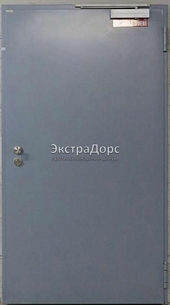 Противопожарная дверь однопольная дымогазонепроницаемая металлик в Москве  купить