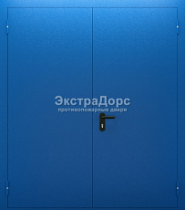Двупольная огнестойкая дверь EI 90 ДМП-01-60 двупольная металлическая синяя