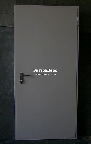 Дверь металлическая противопожарная EI 60 ДПМ 2 типа серая в Москве  купить